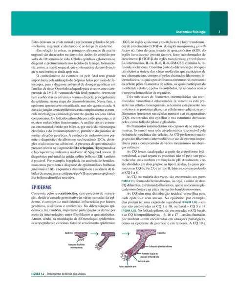 Dermatologia de Sampaio e Rivitti