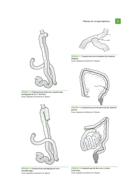 Rotinas em Cirurgia Digestiva