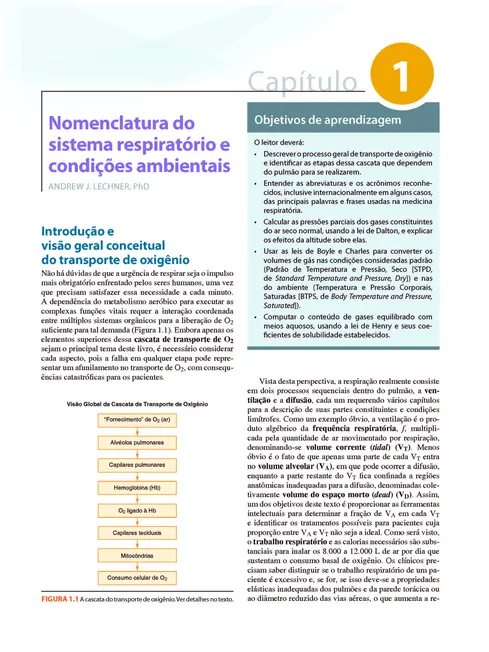Pulmões