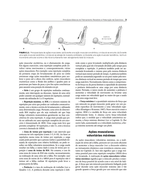 Fundamentos do Treinamento de Força Muscular