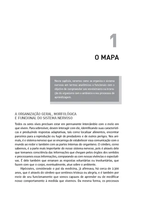Neurociência e educação