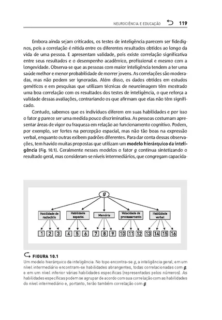 Neurociência e educação
