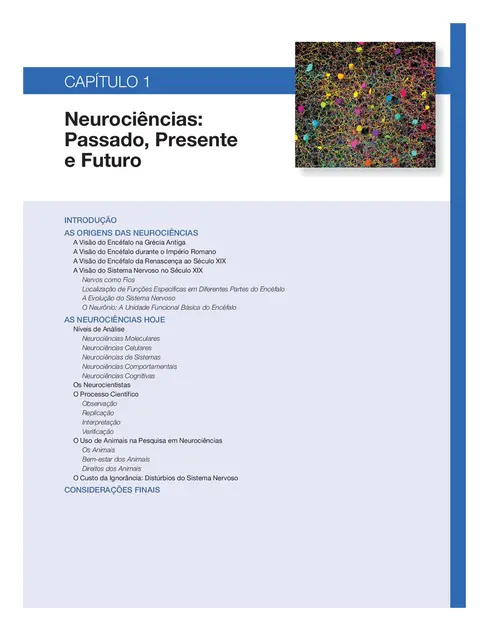 Neurociências