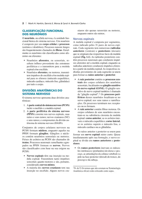 Anatomia Clínica