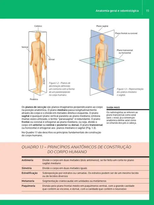 Anatomia Geral e Odontológica
