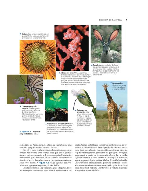 Biologia de Campbell