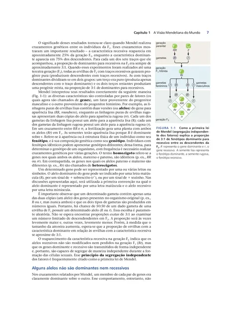 Biologia Molecular do Gene