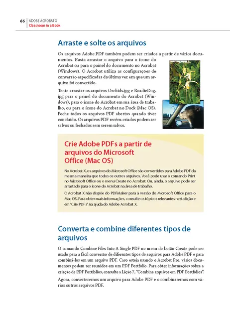 Adobe Acrobat X
