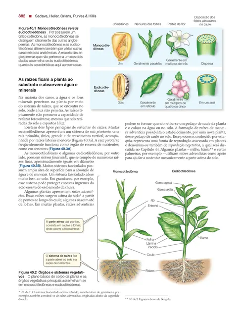 Vida: A Ciência da Biologia