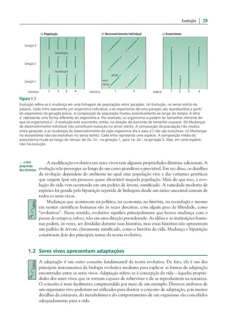Evolução