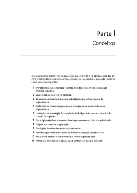 Redes de Cooperação Empresarial