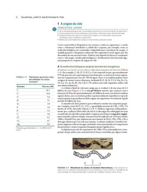Fundamentos de Bioquímica