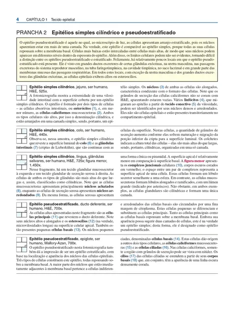 Atlas de Histologia Descritiva