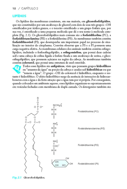 Fisiologia Celular