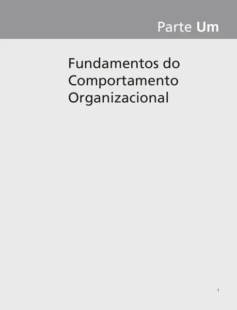 Comportamento Organizacional