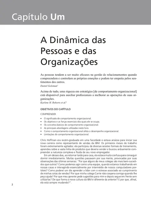 Comportamento Organizacional