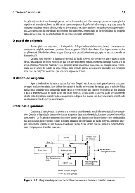 Manual de Ergonomia