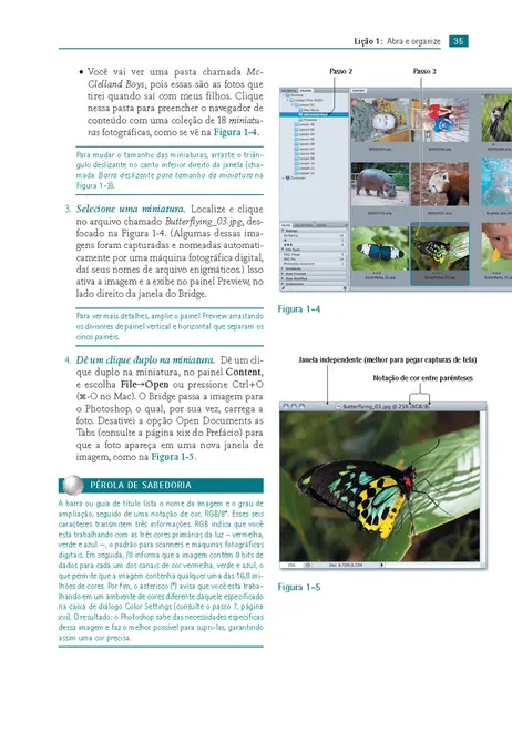Adobe Photoshop CS5 One-on-One