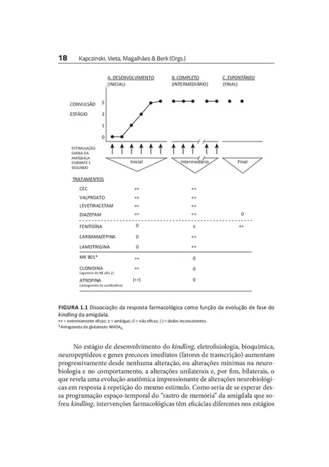Neuroprogressão e Estadiamento no Transtorno Bipolar
