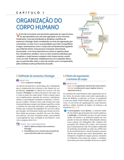 Corpo Humano