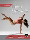 Corpo Humano