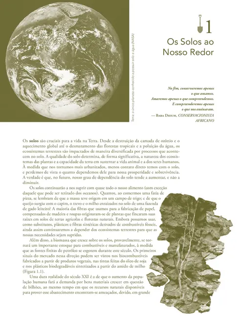 Elementos da Natureza e Propriedades dos Solos